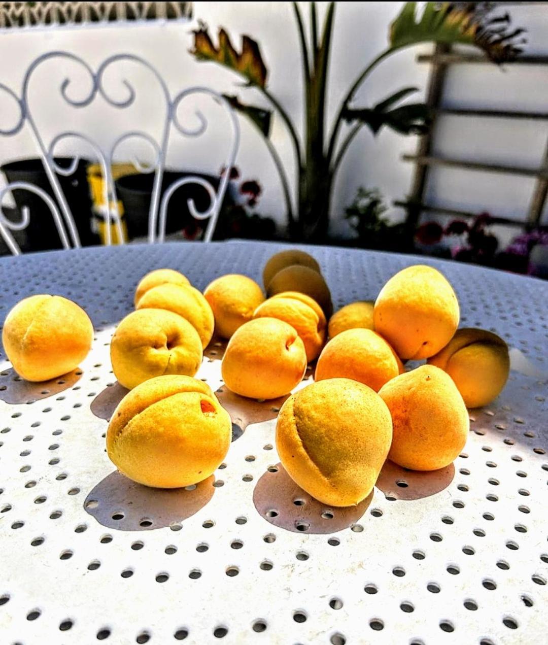 Casa Dei Frutti Di Ostuni Apartman Kültér fotó